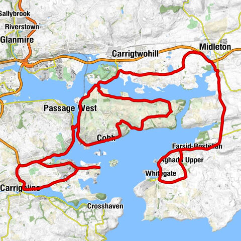 The Oratory - Saint Mary's Church of Ireland - Carrigaline - Sacred Heart Church, Ballymore