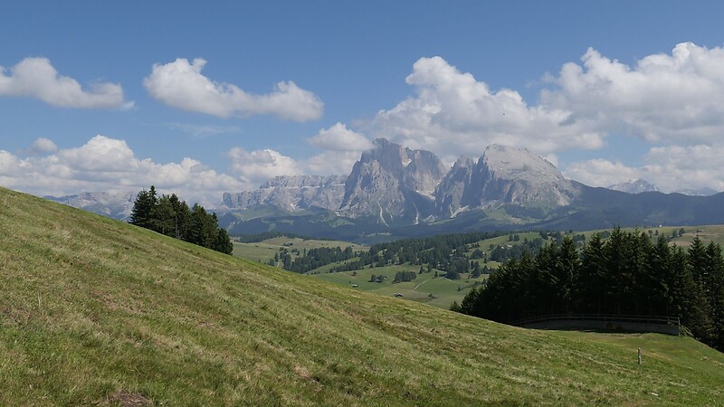 Karta