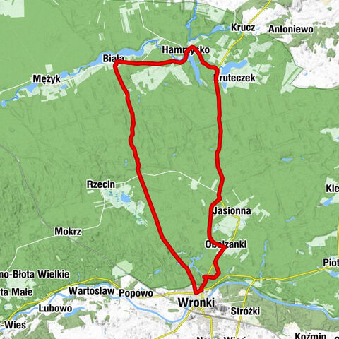 powiat czarnkowsko-trzcianecki - Wronki - Kościół pw. Matki Boskiej Różańcowej - Gniewomierz
