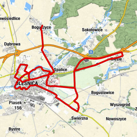 Kościół Matki Bożej Nieustającej Pomocy - kościół filialny pw. Miłosierdzia Bożego - Oleśnica - Kościół Matki Boskiej Tuchowskiej