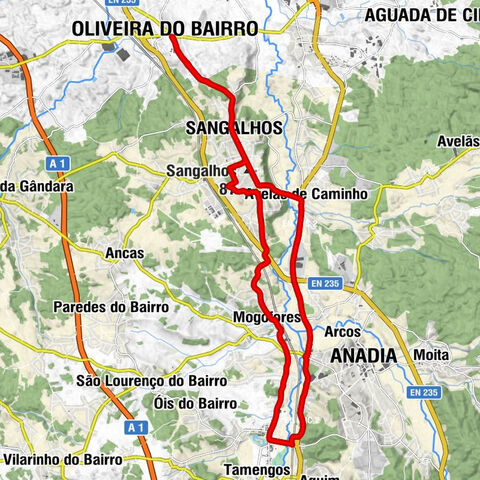 Curia - O Carlos (Churrasqueria) - Sangalhos - Arcos e Mogofores
