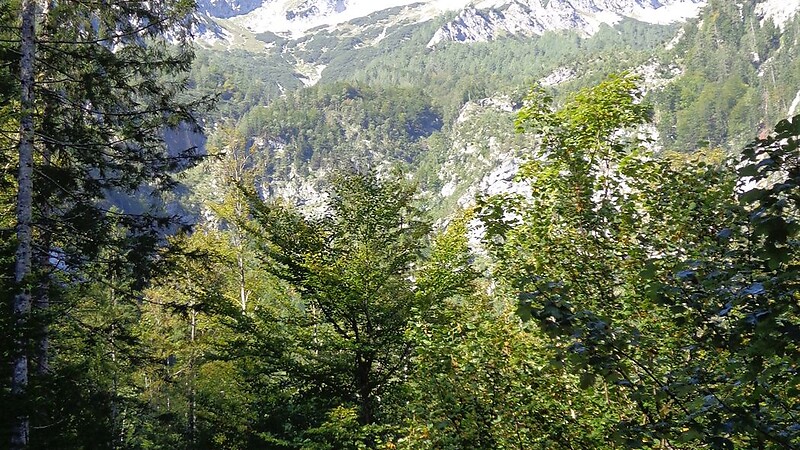 Karta