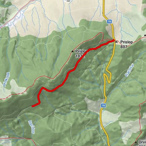 Penzion Príslop - Príslop - Šlógy