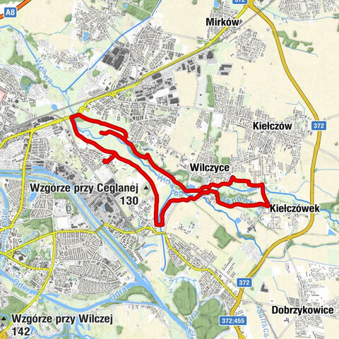 Wilczyce - Zielona Oliwka