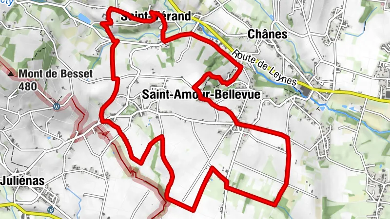 Les sentiers belles vues - Saint-Amour-Bellevue