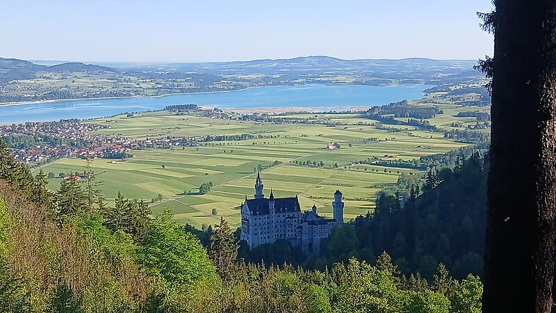 Karta