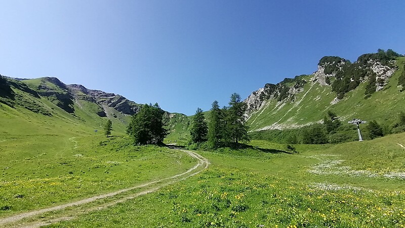 Karta
