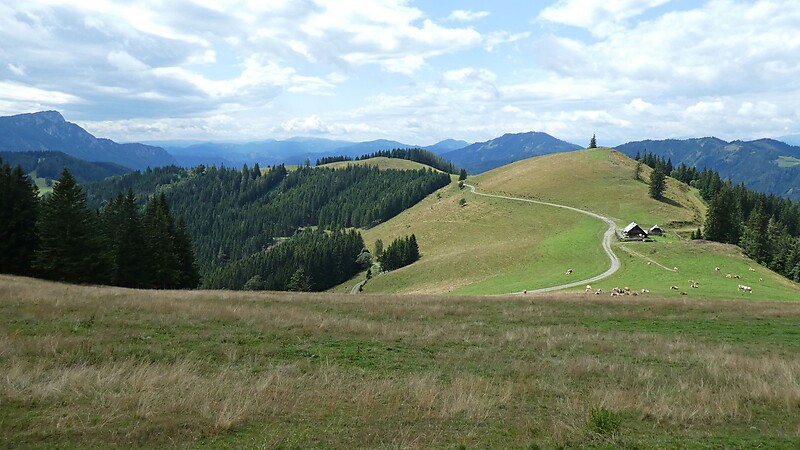 Karta