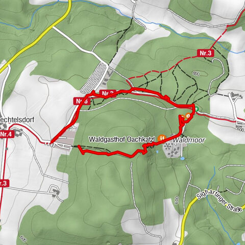 Baumkronenweg in Oberösterreich