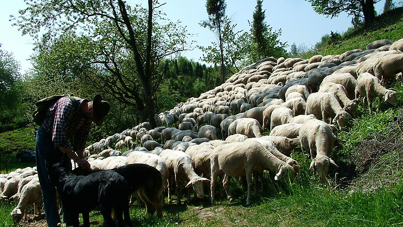 Karta