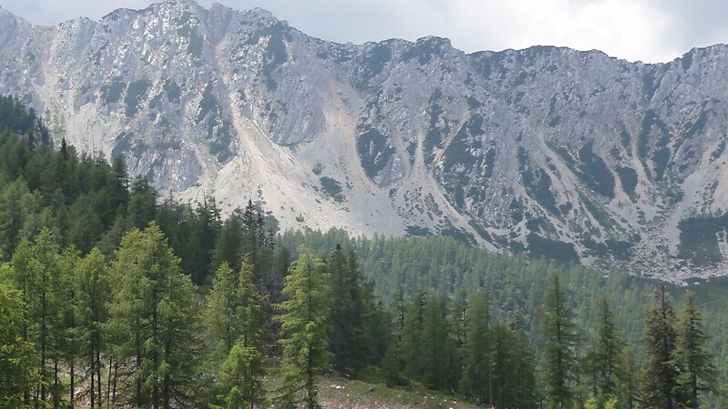 Karta