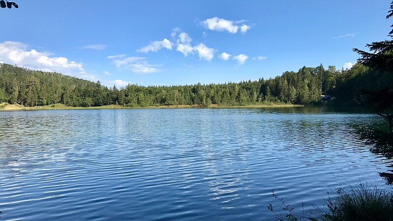 Karta