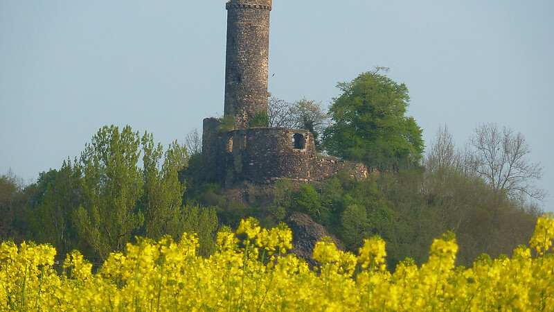Karta