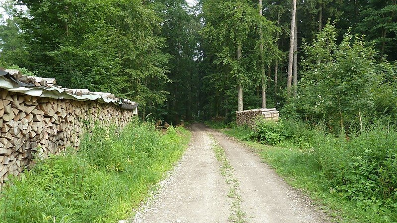 Karta