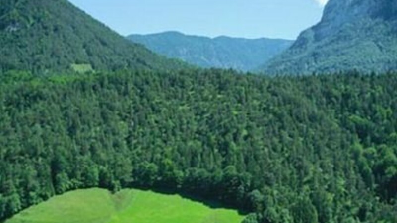 Karta