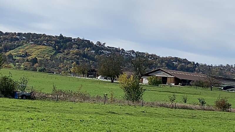 Karta