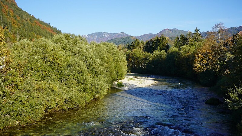 Karta