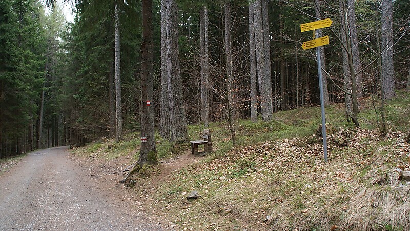 Karta