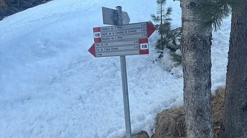 Karta