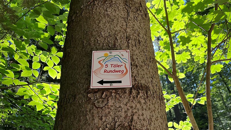 Karta