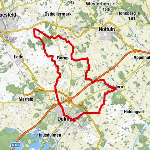 Höhenflüge und Waldgeflüster