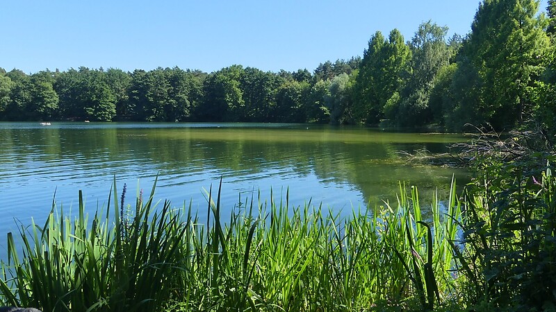 Karta