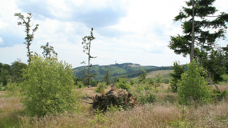 Karta