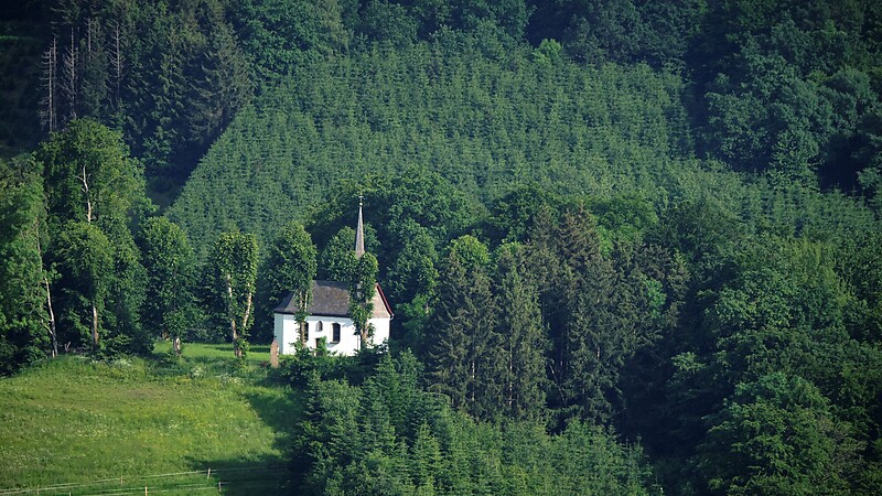 Karta
