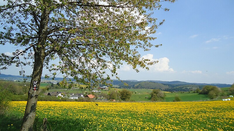 Karta