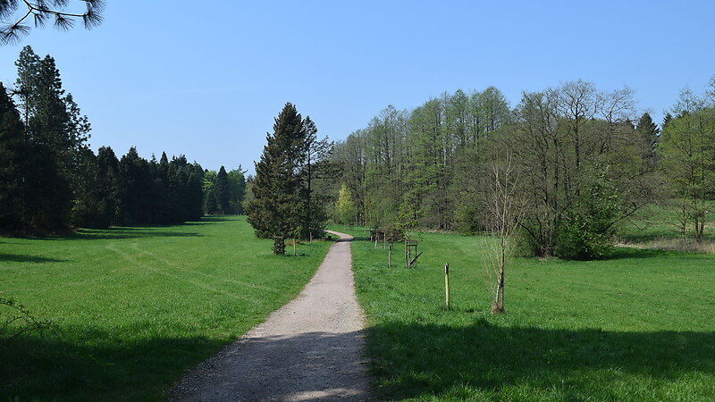 Karta