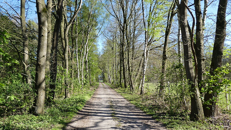 Karta