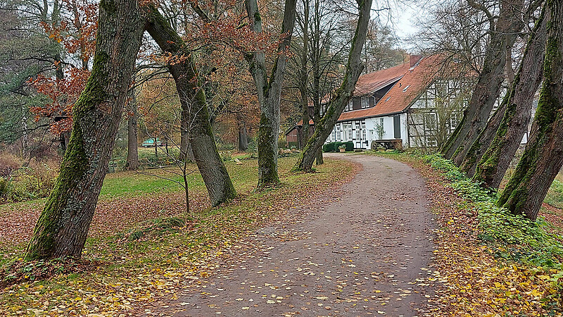 Karta