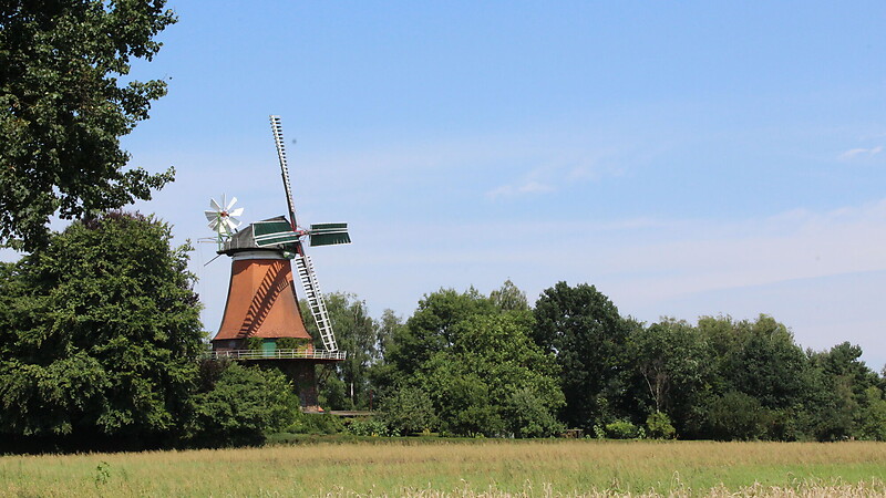 Karta