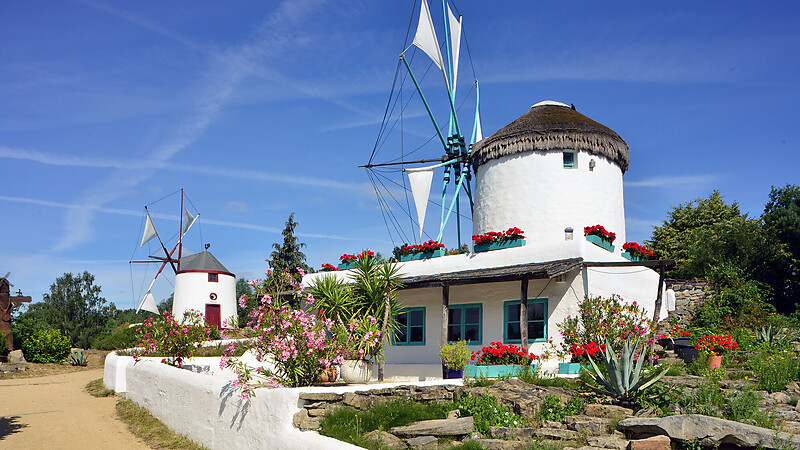 Karta