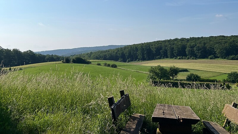 Karta