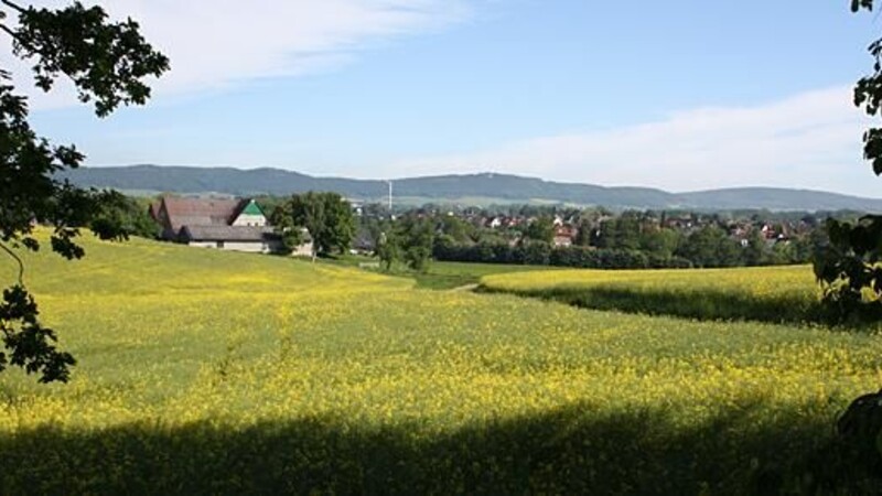 Karta