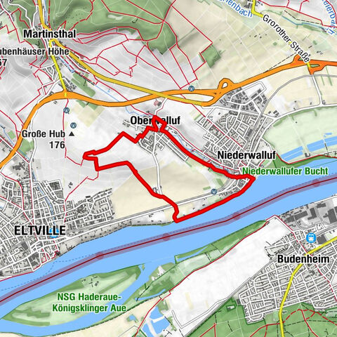 Riesling Schleife Rhein und Reben