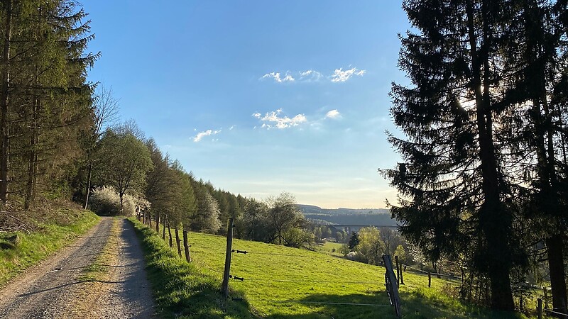Karta