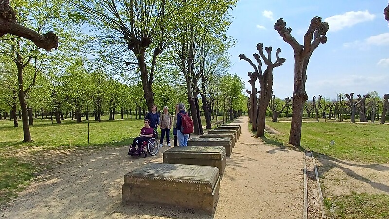Karta