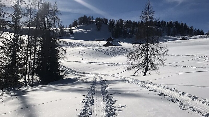 Karta