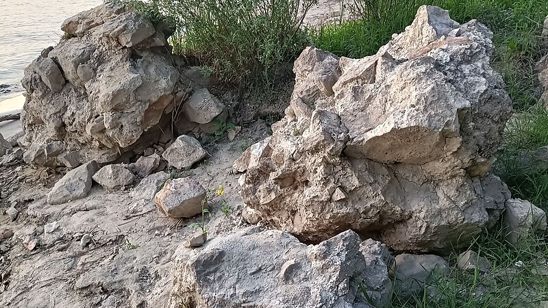 Karta