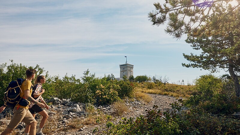 Karta