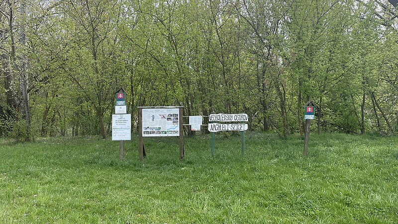 Karta