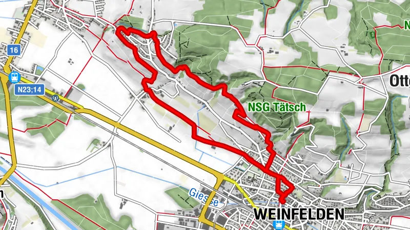 Weinfelden, Rebenwanderung Ottoberg,Thurgau/Schweiz
