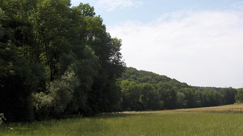 Karta