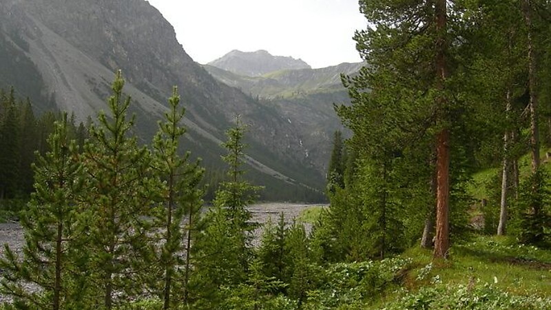 Karta