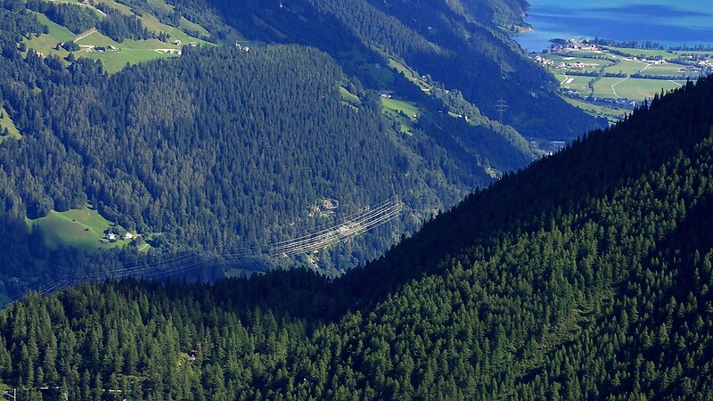 Karta
