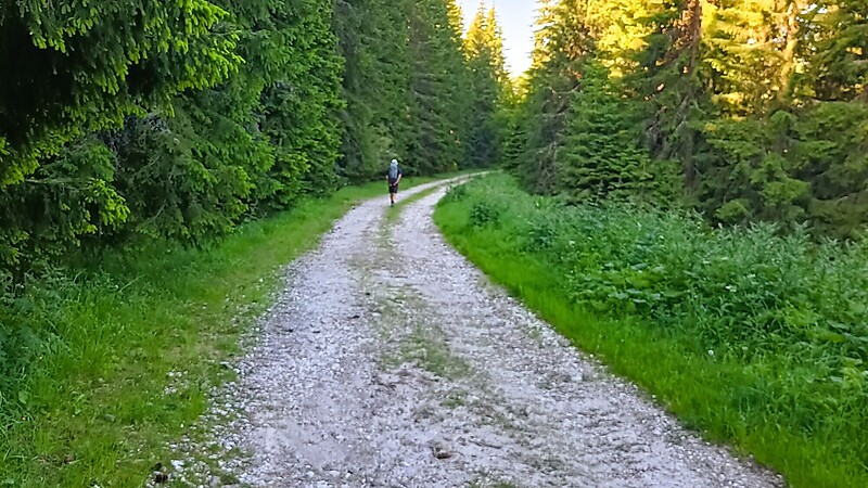 Karta