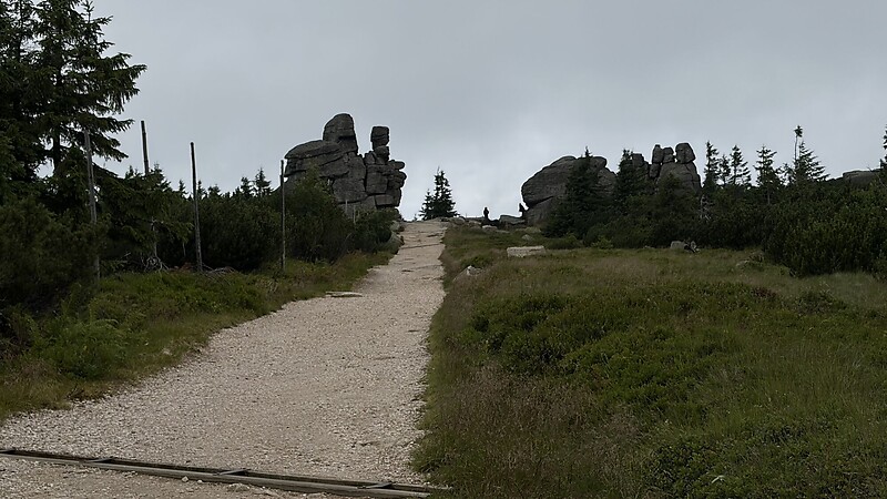 Karta