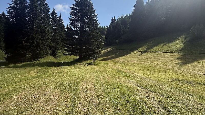 Karta